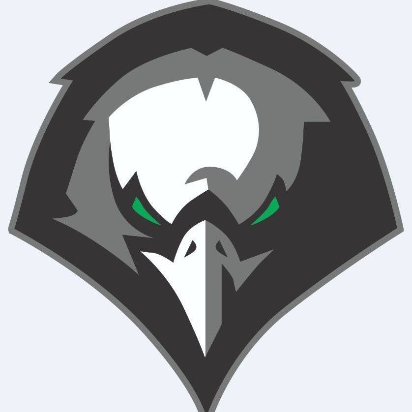 EAGLES YOUTH SPORTS ASSOC